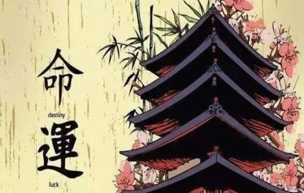 八字命理能干什么