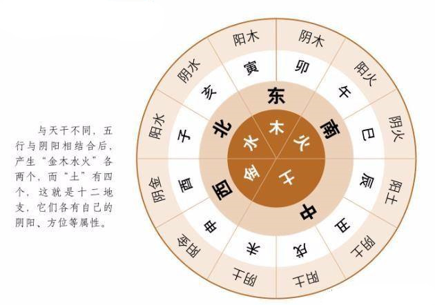 八字地支知识全解