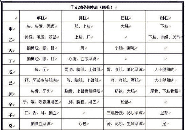最全的八字干支与人体器官象义