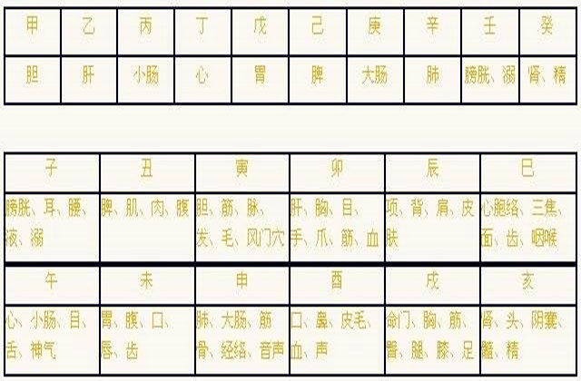 最全的八字干支与人体器官象义