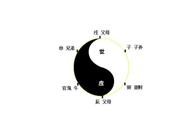 六爻六亲的作用