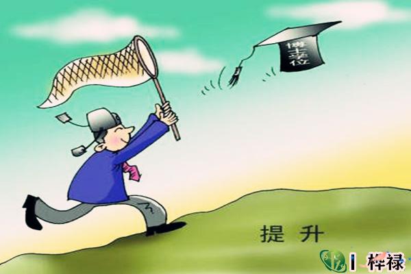 六爻断学历技巧