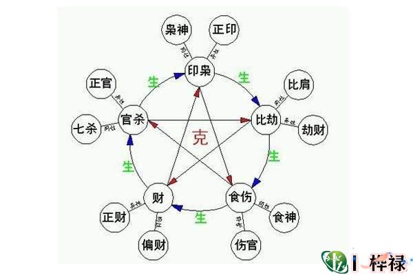 八字十神知识全解