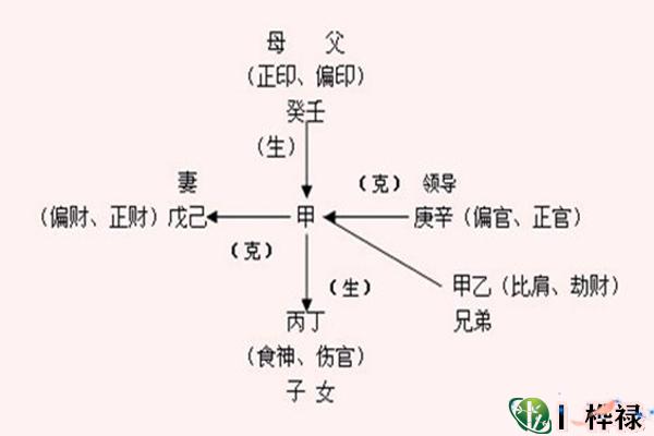 八字十神知识全解