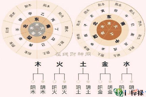十天干阴阳