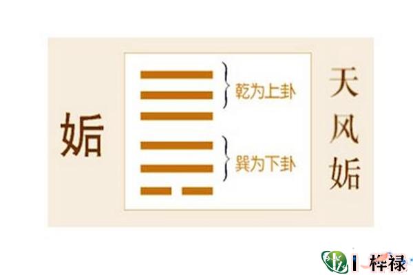 六十四卦:天风姤卦详解