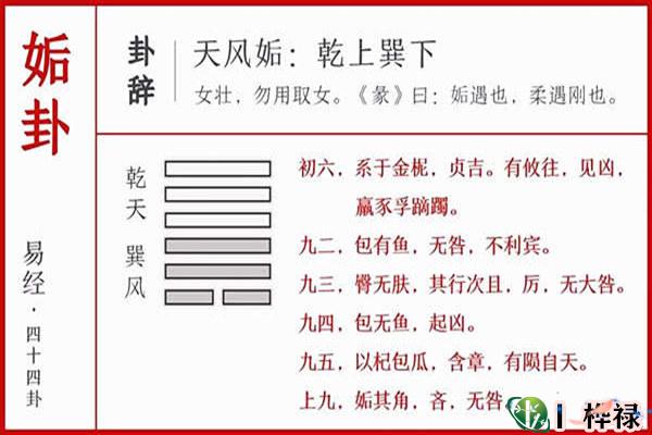 六十四卦:天风姤卦详解