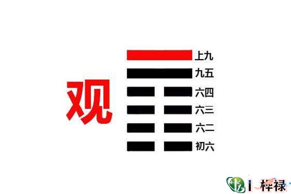 六十四卦:风地观卦详解