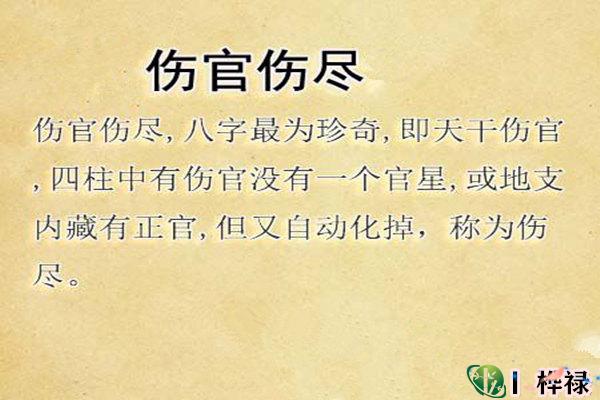 伤官伤尽八字怎么看