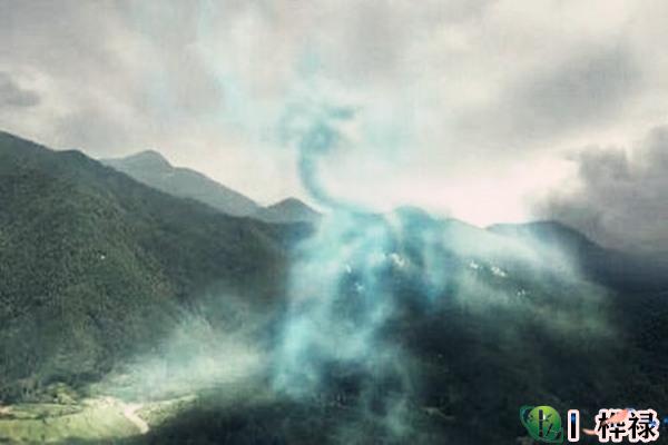 能出官贵的坟地风水
