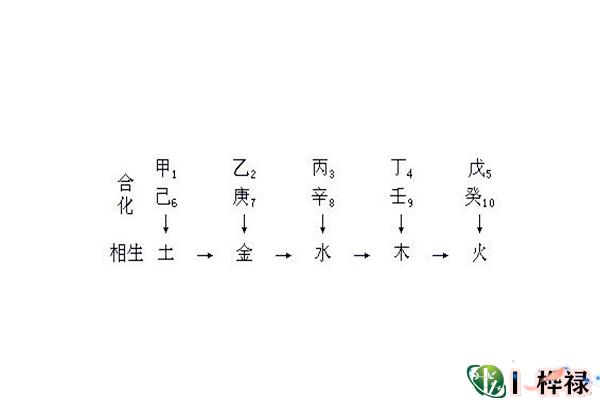八字天干五合详解大全