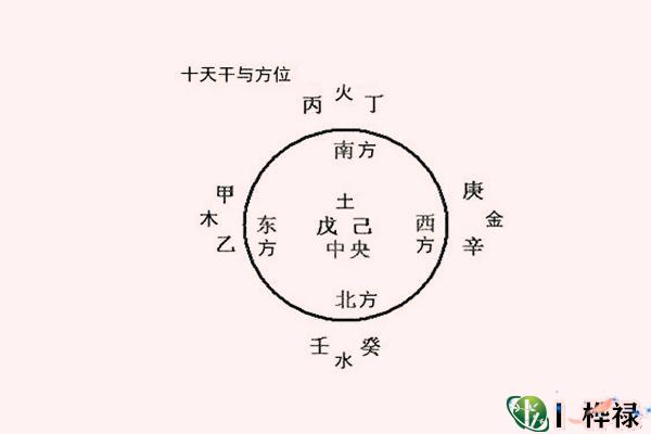 十天干相生全解