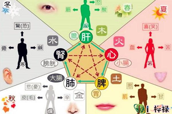 八字偏弱的人身体不好吗,八字旺弱与身体健康