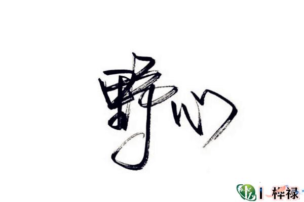 进取心强的八字特点