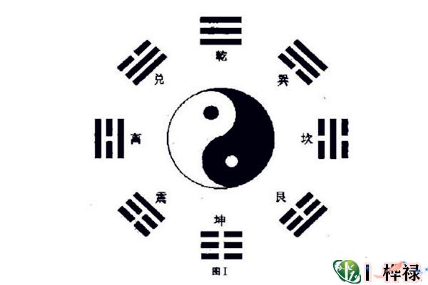 最全的六爻动爻知识详解