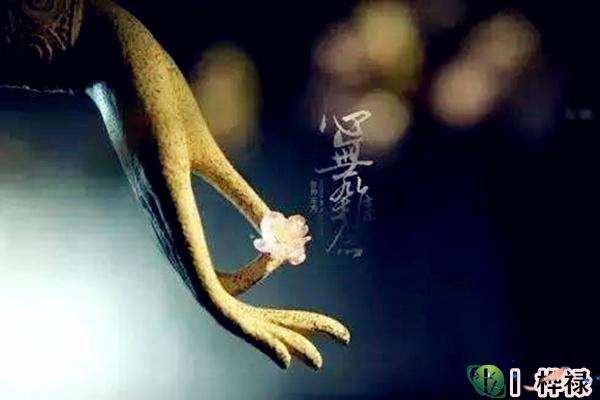 贫穷命的八字格局特征