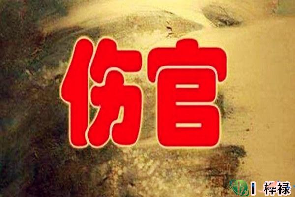 伤官格财旺身弱之人怎么样