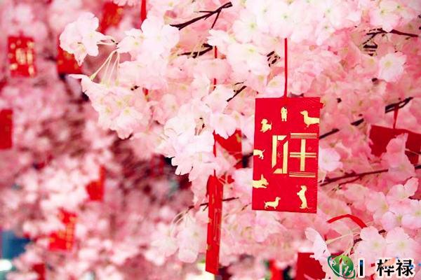 八字看异性缘好不好