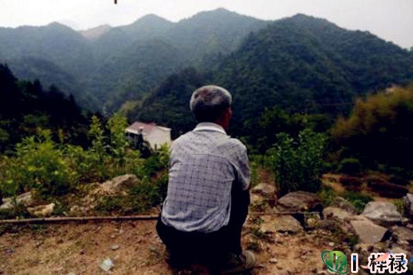 注定打光棍的八字特点