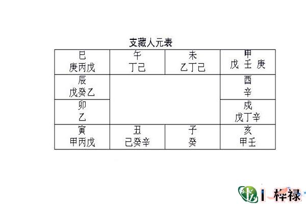 八字地支藏干透出原理及象义
