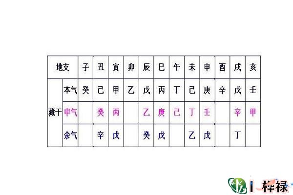 八字地支藏干透出原理及象义