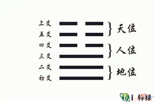 六爻爻位三才象义