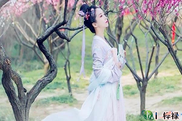 正官与十神的坐支关系