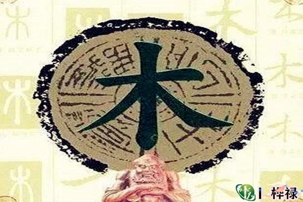 五行缺木的人忌讳什么