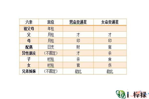 命理八字宫位六亲论