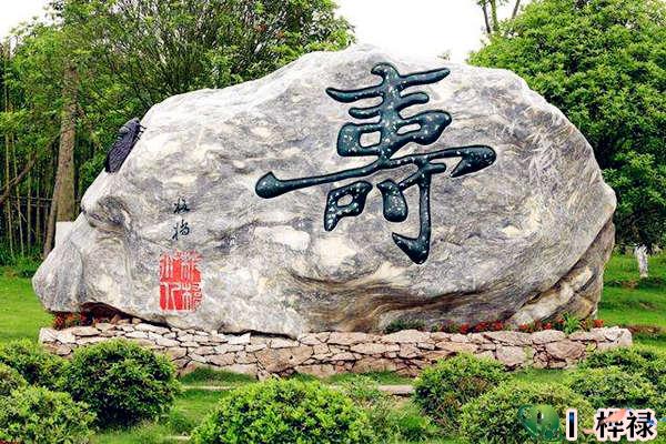 八字看寿命长短