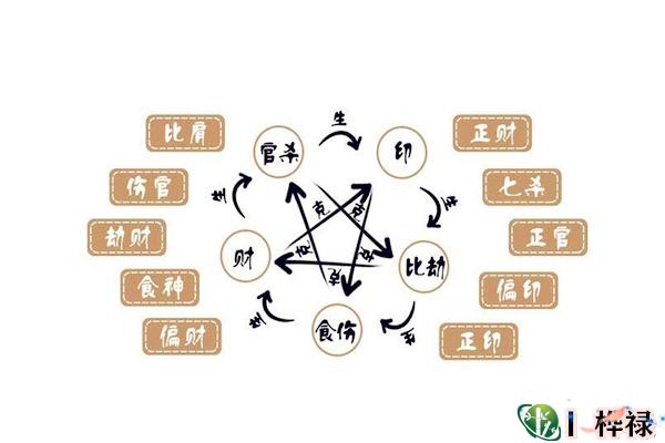 适合学医的八字特点(什么样的人学中医有天赋)