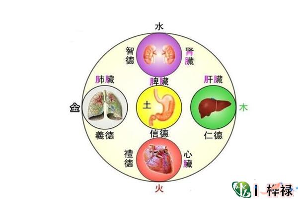 八字疾病类象大全