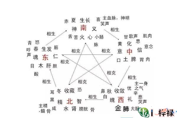 八字疾病类象大全