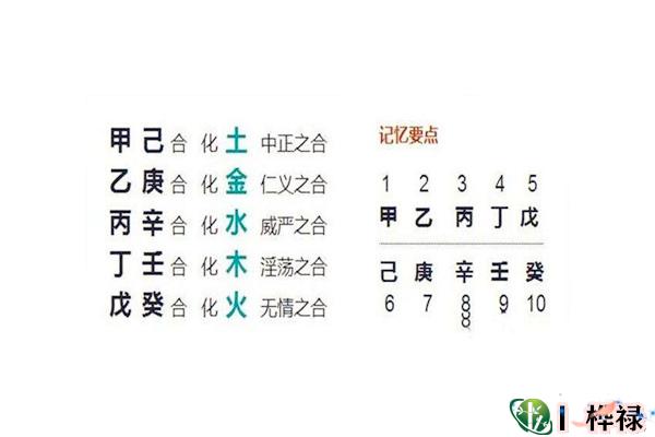 八字争合详解，八字天干争合