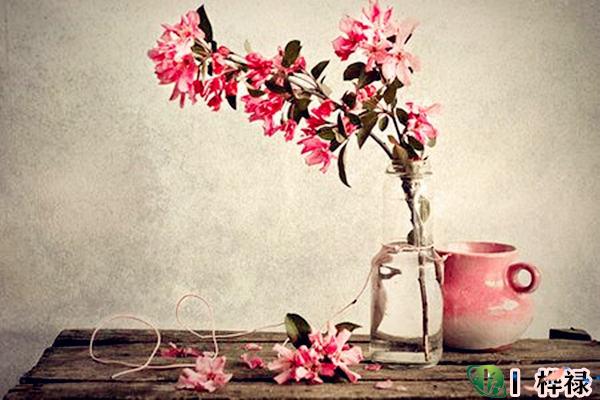 女生招正桃花运的方法