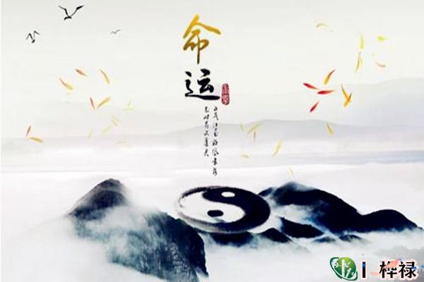 八字清纯格局详解