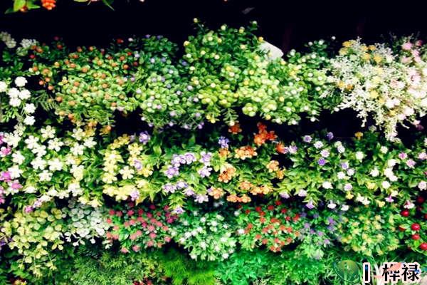 家中摆假花影响风水吗