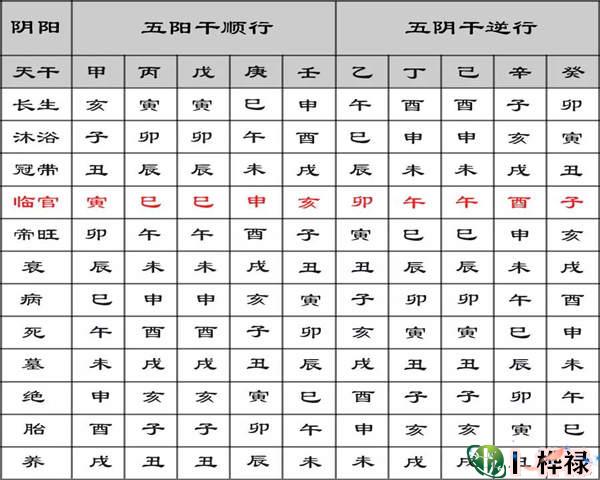 五行寄生十二宫的详细解释