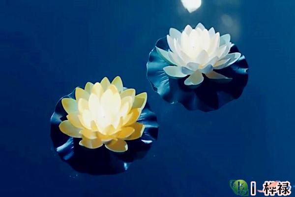八字阴差阳错的具体解释