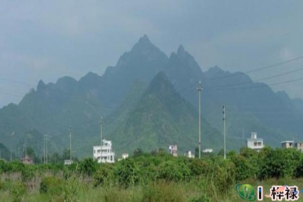 峦头风水之五星形体详解