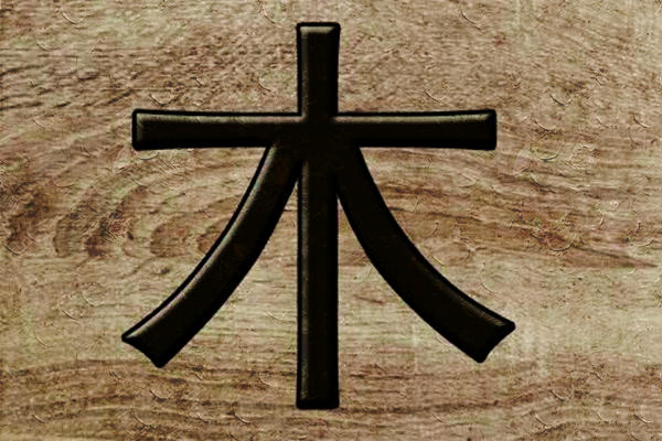 最全的五行木详解