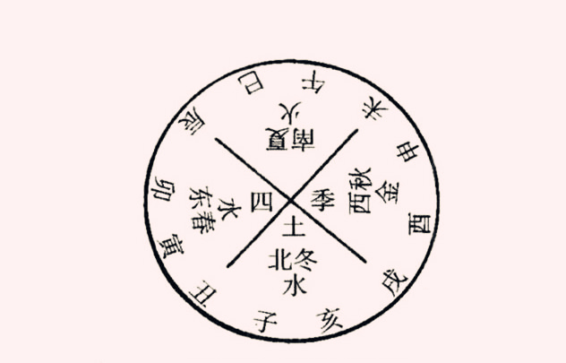 八字基础知识:十二地支详解