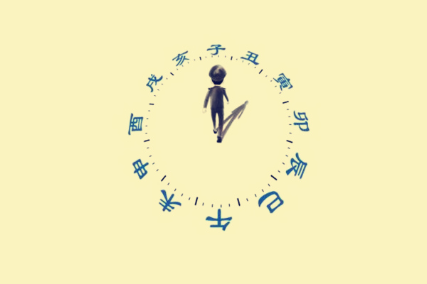 八字基础知识:十二地支详解