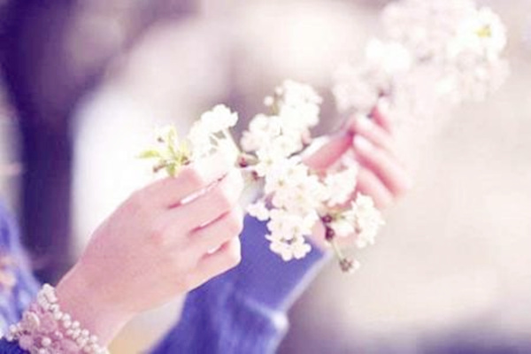 免费八字查询桃花