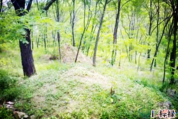 八字看坟山的方位方法