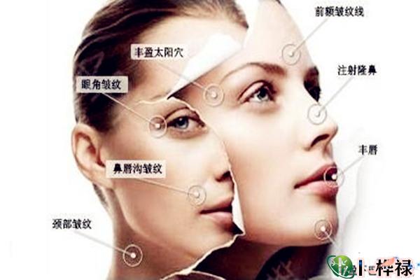 事业型女人面相特征