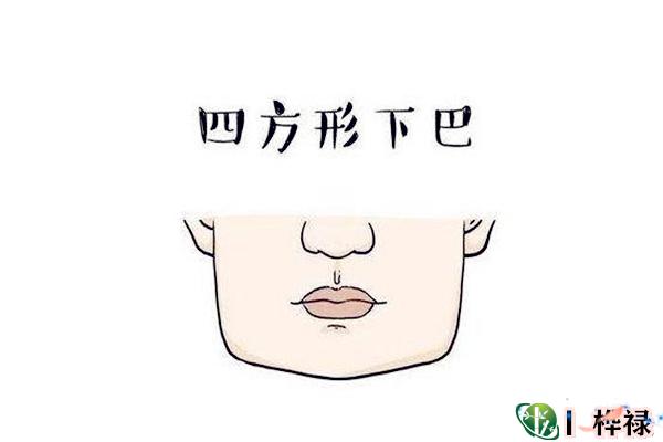下颌面相解读