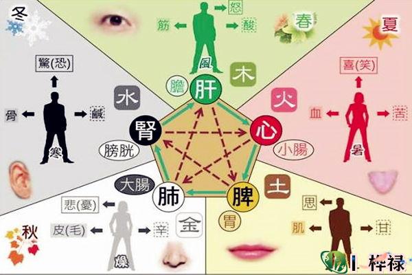 身体素质差易患病的八字特征