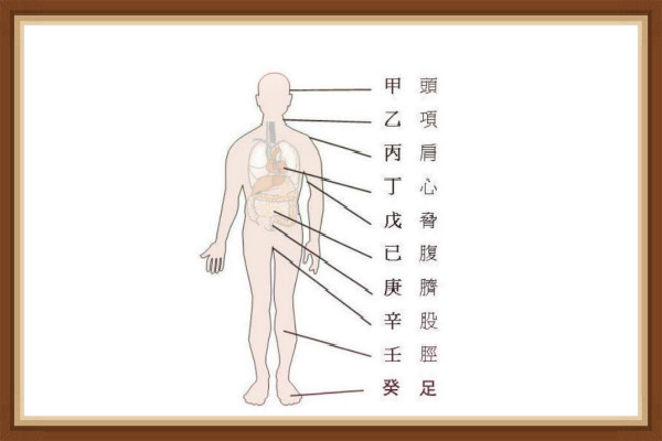 八字天干地支五行身体象义