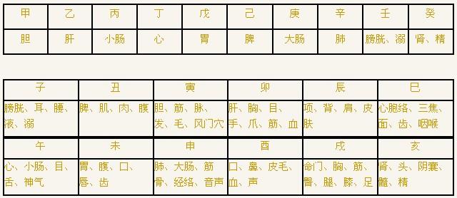 八字天干地支五行身体象义